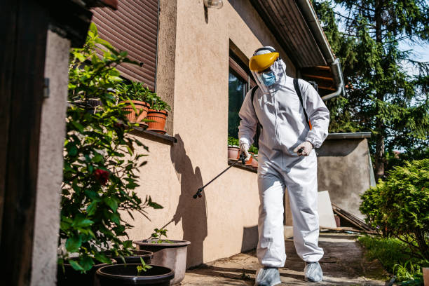 Best Pest Control Near Me  in Marshfield, WI