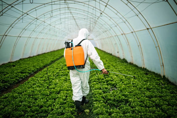 Best Pest Removal Services  in Marshfield, WI