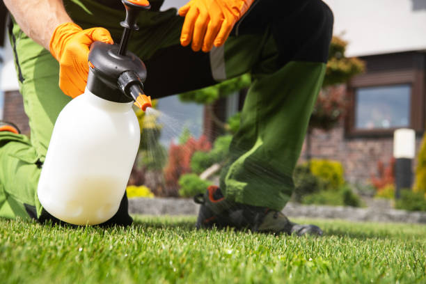 Trusted Marshfield, WI Pest Control Experts