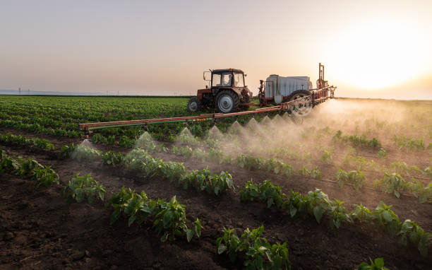 Best Commercial Pest Control Services  in Marshfield, WI