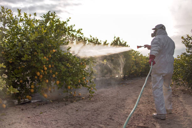 Pest Control Cost in Marshfield, WI
