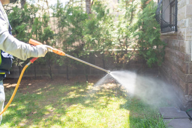 Best Residential Pest Control  in Marshfield, WI